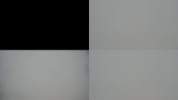 Sdružený snímek Bludný