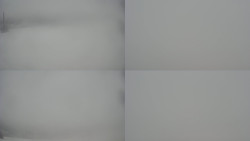 Sdružený snímek Bludný