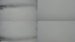 Sdružený snímek Bludný