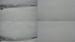 Sdružený snímek Bludný