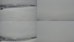 Sdružený snímek Bludný