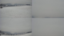 Sdružený snímek Bludný