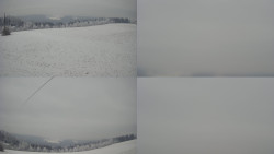 Sdružený snímek Bludný