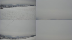 Sdružený snímek Bludný