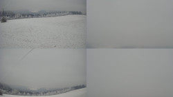 Sdružený snímek Bludný