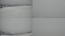 Sdružený snímek Bludný