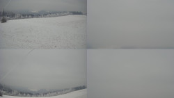 Sdružený snímek Bludný