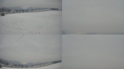 Sdružený snímek Bludný