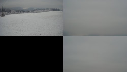 Sdružený snímek Bludný