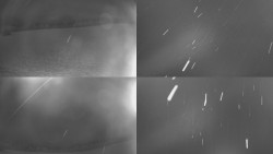 Sdružený snímek Bludný