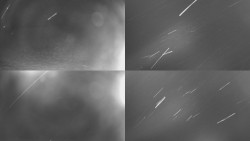 Sdružený snímek Bludný