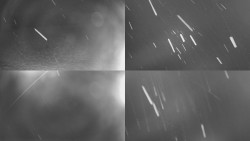 Sdružený snímek Bludný