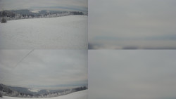 Sdružený snímek Bludný