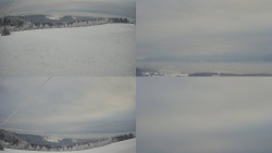 Sdružený snímek Bludný