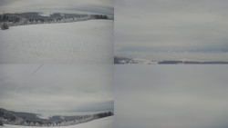 Sdružený snímek Bludný