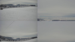 Sdružený snímek Bludný