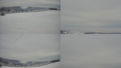 Sdružený snímek Bludný