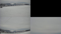 Sdružený snímek Bludný