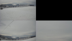 Sdružený snímek Bludný