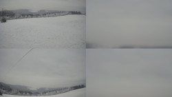 Sdružený snímek Bludný