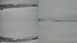 Sdružený snímek Bludný