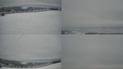 Sdružený snímek Bludný