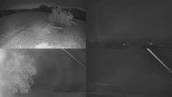 Sdružený snímek Bludný