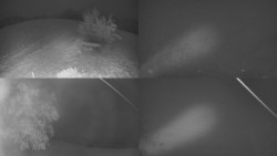 Sdružený snímek Bludný