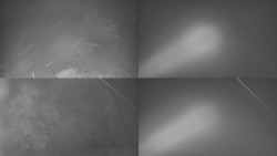 Sdružený snímek Bludný