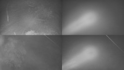 Sdružený snímek Bludný