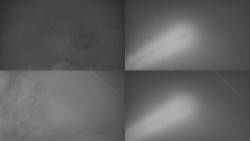 Sdružený snímek Bludný