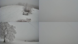 Sdružený snímek Bludný