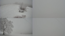 Sdružený snímek Bludný