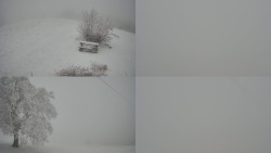 Sdružený snímek Bludný