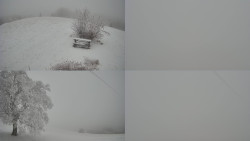 Sdružený snímek Bludný