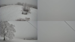 Sdružený snímek Bludný