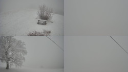 Sdružený snímek Bludný