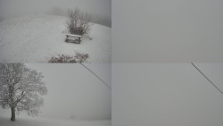 Sdružený snímek Bludný