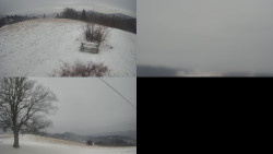 Sdružený snímek Bludný