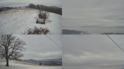 Sdružený snímek Bludný