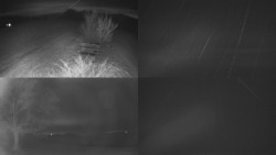 Sdružený snímek Bludný