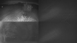 Sdružený snímek Bludný