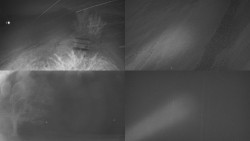 Sdružený snímek Bludný