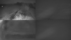 Sdružený snímek Bludný