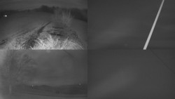 Sdružený snímek Bludný