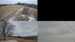 Sdružený snímek Bludný