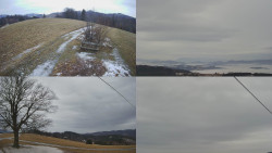 Sdružený snímek Bludný