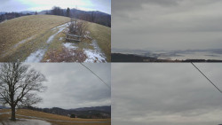 Sdružený snímek Bludný