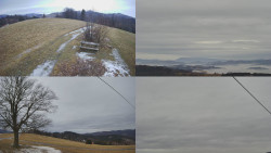 Sdružený snímek Bludný