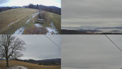 Sdružený snímek Bludný